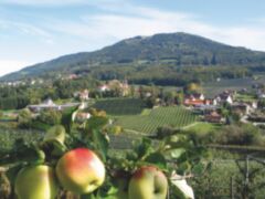 A ApfelLand-Stubenbergsee, Apfelstrase (c) Walter Schneider