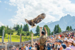 AdlerBuehne Ahorn (2)